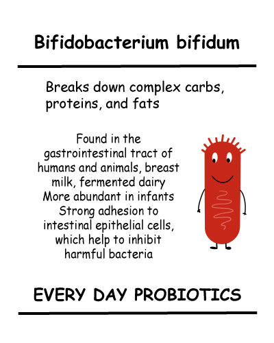 Bifidobacterium bifidum